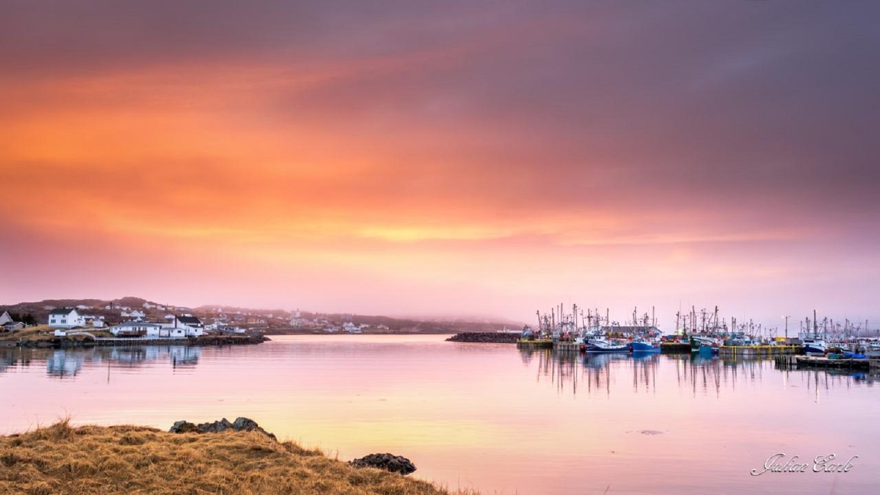 فندق Twillingate & Beyond Inc. المظهر الخارجي الصورة